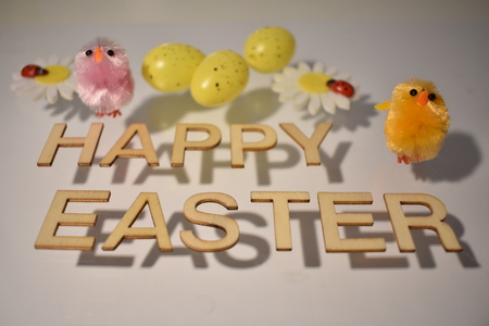 Happy Easter with yellow Eggs and Colored Chickensの写真素材