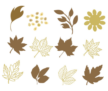 Set of autumn leaves and berries, hand-drawn cartoon vector illustration. . Vector illustrationのイラスト素材