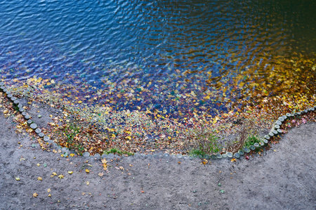 Colorful autumn leaves on the water surface in the park. Background
