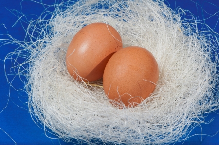 Easter - Easter Eggsの写真素材