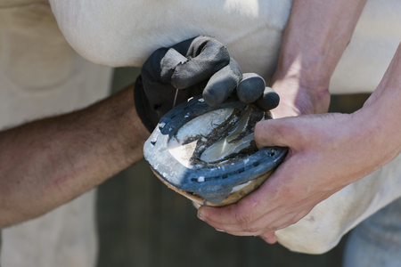 blacksmithの写真素材
