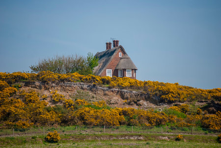 The rural landscape of Norfolk, UKのeditorial素材