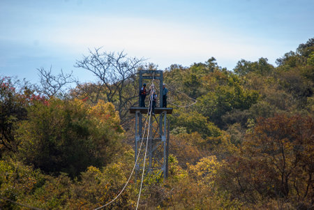 Zip lines over the tree canopy in Mpumalanga, South Africaの写真素材