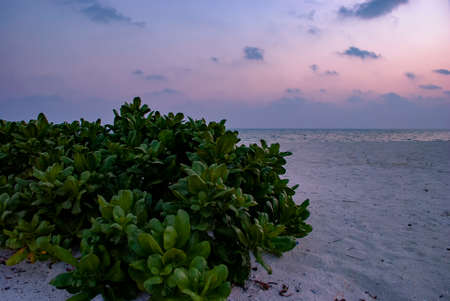 Sunset over the stunning islands of the Maldives in the Indian Oceanの写真素材