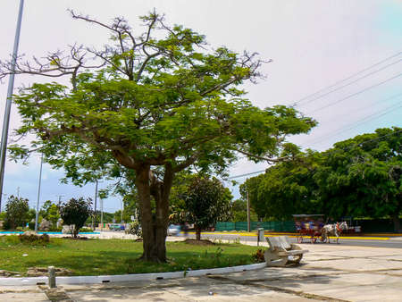 The streets of Varadero, Cubaの写真素材