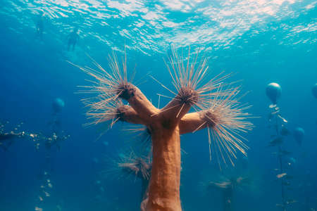 MUSAN - Museum of Underwater Sculpture in Ayia Napa, Cyprusのeditorial素材