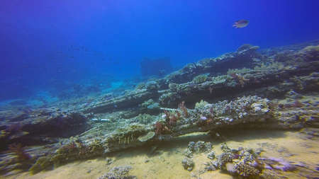 Cargo from the wreck of the Yolanda at the tip of the Sinai Peninsula in Egypt