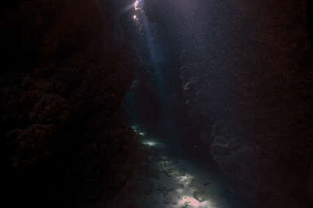 A swim through at Jackfish Alley in the Red Sea at Sharm el Sheikh, Egypt