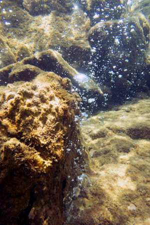 Bubbles escaping from the rocks on Champagne Reef near Roseau, Dominicaの写真素材