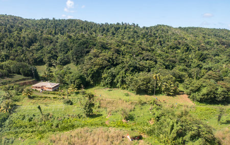 An aerial view of the thick vegetation in a rural area of Dominicaの写真素材