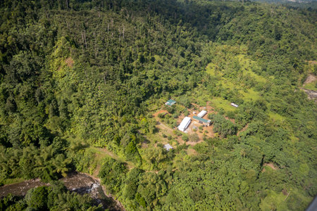 An aerial view of the thick vegetation in a rural area of Dominicaの写真素材