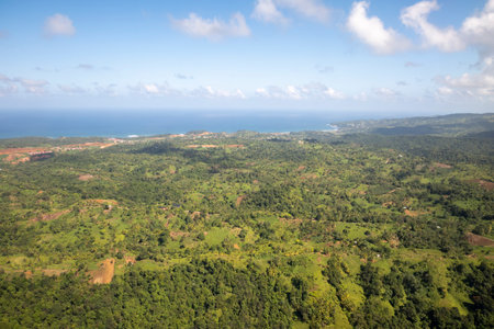 An aerial view of the thick vegetation in a rural area of Dominicaの写真素材