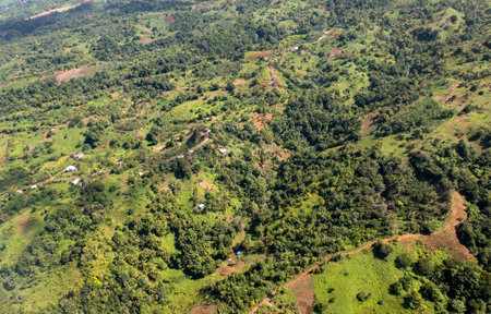 An aerial view of the thick vegetation in a rural area of Dominicaの写真素材