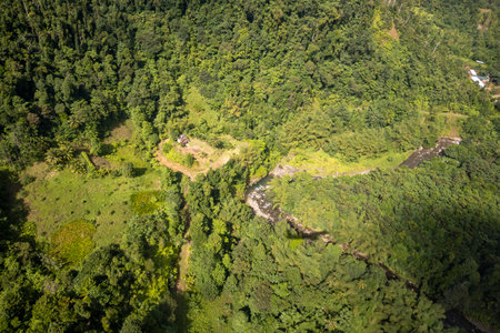 An aerial view of the thick vegetation in a rural area of Dominicaの写真素材
