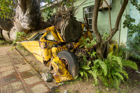 An old school bus crushed by a fallen tree in the Botanical Gardens in Roseau, Dominicaの写真素材