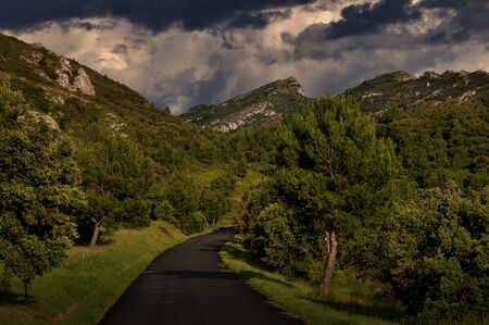 Road with no cars or people in the countryside , south of France. Alpillesの写真素材