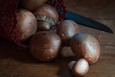 Brown Paris or portobello mushrooms coming out of a red container  on a wooden table with a knife