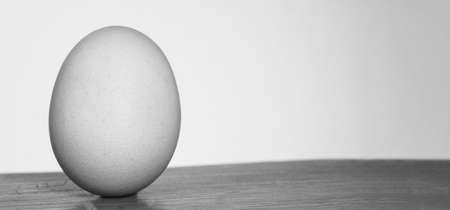 minimalist Simple egg on table with white background in monochrome