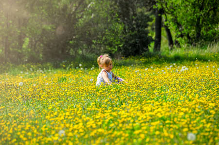 young girl in a field full of yellow dandelions playing and relaxing concept of spring summer holidays .の写真素材
