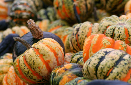 A mound of squash at a fall fair.の写真素材