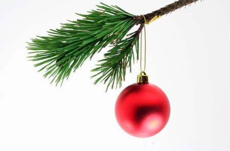 A matte red christamas ball against a white background.の写真素材