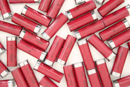 A carpet of 12 guage shotgun shells lying on a white background.