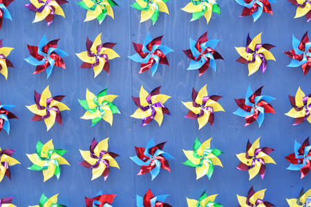 A group of pinwheels screwed to a blue wall.の写真素材