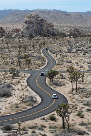 Driving in a meandering road in the Joshua Tree National Park, California, US.