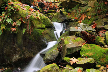 A waterfall drops down through mossy boulders in Squamish, British columbia.