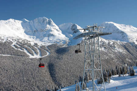 An engineering marvel (and some would say eyesore) that connects Whistler Mountain to Blackcomb...