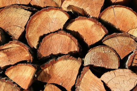 Dry wood chopped and stacked for the fireplaceの写真素材
