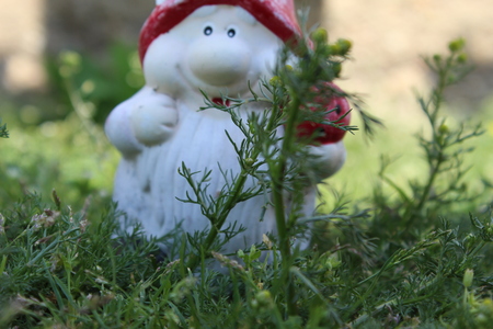 Blurry gnome in the grassの写真素材