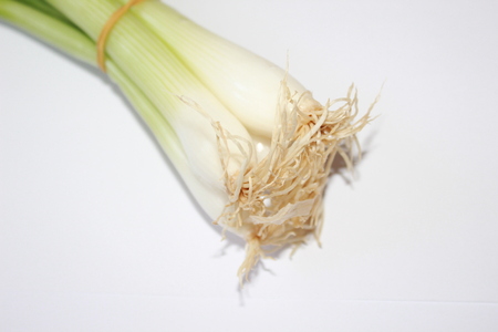 Bundle of scallions isolated on whiteの写真素材