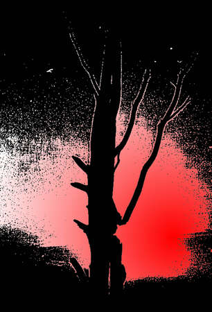 tree in red  backlightの写真素材