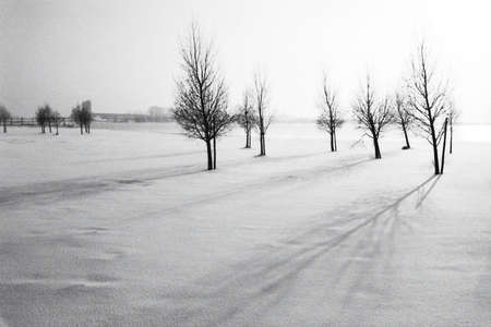 snowlandscape in hollandの写真素材
