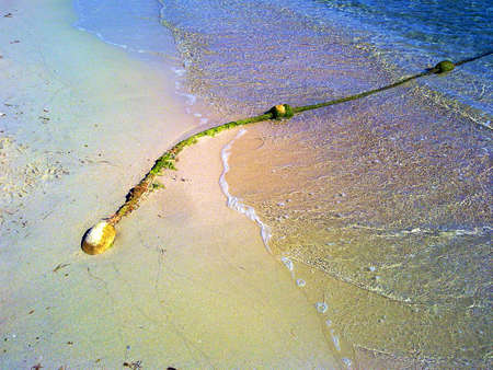 rope on the beachの写真素材