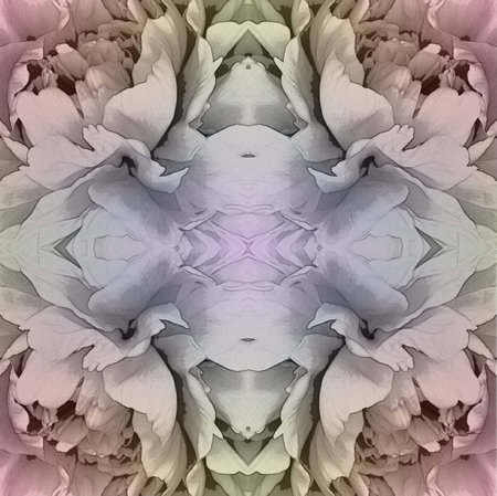 Pastel color flower decorationの写真素材