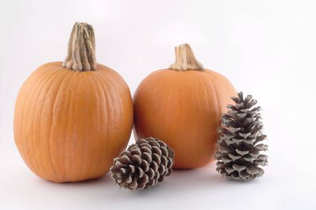 Pumpkin and Pineconesの写真素材