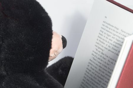 Reading Teddy Bearの写真素材