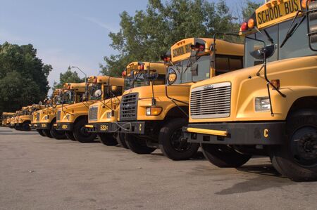 school buses
