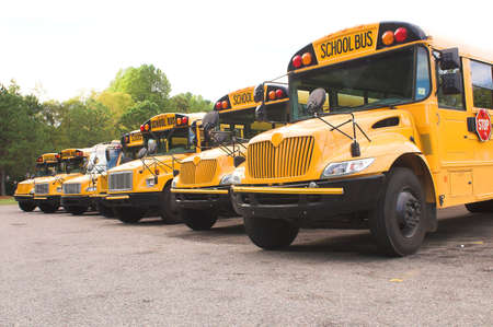 A row of school buses in a parking lot.の写真素材