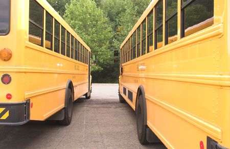 A row of school buses in a parking lot.
