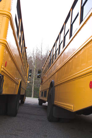Two school buses parked next to each other.