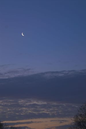 A crescent moon shining at dusk or dawn.の写真素材