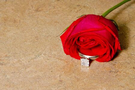 A wedding ring in a rose for Valentines Day.の写真素材
