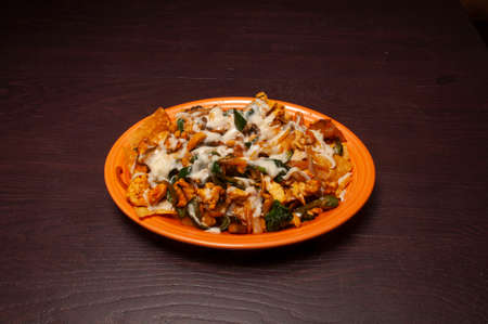 Traditional and Authentic Mexican cuisine known as nachosの写真素材
