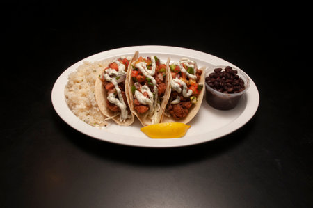 Authentic tex mex mexican cuisine known as a shrimp tacoの写真素材