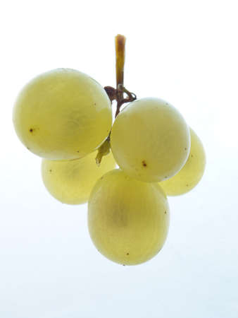 Bunch of ripe grapes on a white background 