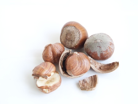 Closeup of fresh hazelnuts on white background  