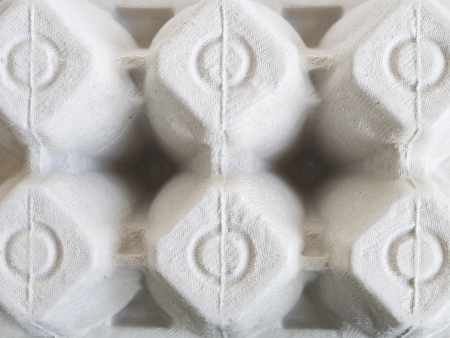 detail box egg carton vase